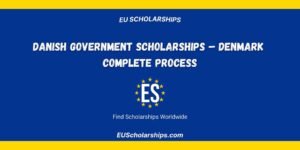 Danish Government Scholarship