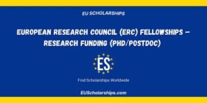 ERC Fellowship