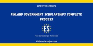 Finland Government Scholarship