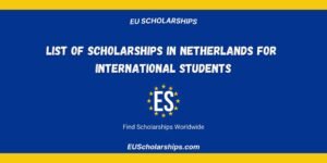 Fully Funded Scholarships in Netherlands