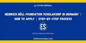 Heinrich Böll Foundation Scholarship