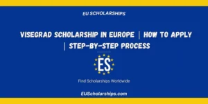 Visegrad Scholarship