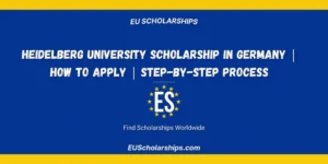 Heidelberg University Scholarship