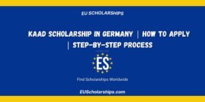 KAAD Scholarship in Germany