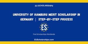 University of Hamburg Merit Scholarship