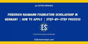Friedrich Naumann Foundation Scholarship