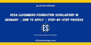Rosa Luxemburg Foundation Scholarship