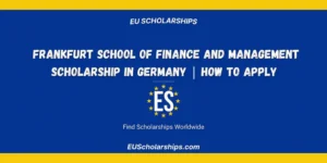 Frankfurt School of Finance Scholarship