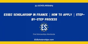 ESSEC Scholarship in France