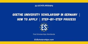 Goethe University Scholarship