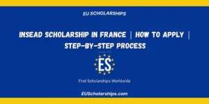 INSEAD Scholarship in France