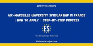Aix-Marseille University Scholarship