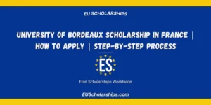 University of Bordeaux Scholarship