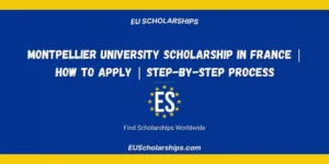Montpellier University Scholarship