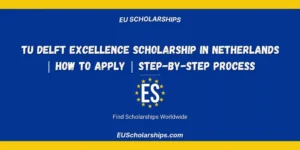 TU Delft Excellence Scholarship