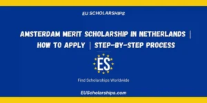 Amsterdam Merit Scholarship