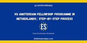 VU Amsterdam Fellowship Programme
