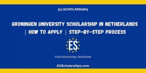 Groningen University Scholarship