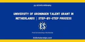 University of Groningen Talent Grant
