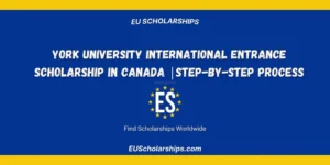 York International Entrance Scholarship