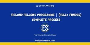 Ireland Fellows Programme