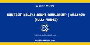 Universiti Malaya Bright Scholarship