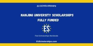Nanjing University Scholarships