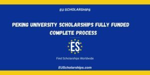 Peking University Scholarships