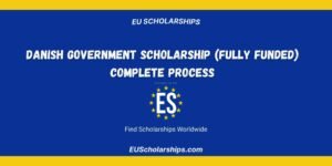 Danish Government Scholarship